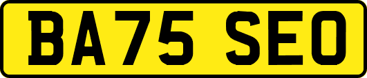 BA75SEO