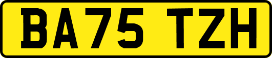 BA75TZH