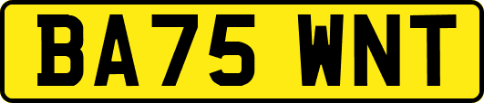 BA75WNT