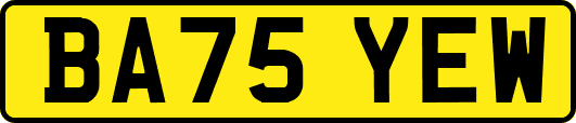 BA75YEW