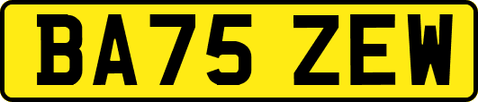 BA75ZEW