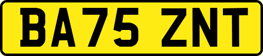 BA75ZNT