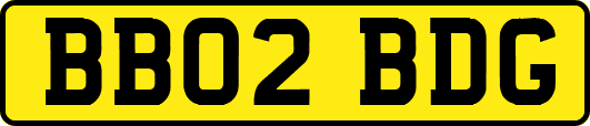 BB02BDG