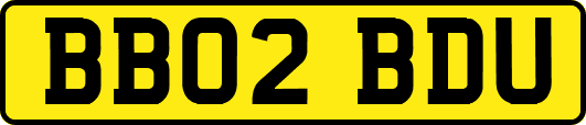 BB02BDU