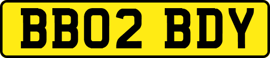 BB02BDY