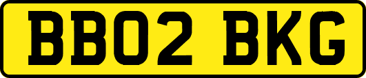BB02BKG
