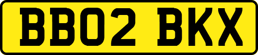 BB02BKX
