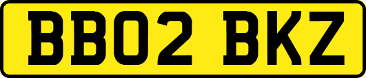 BB02BKZ