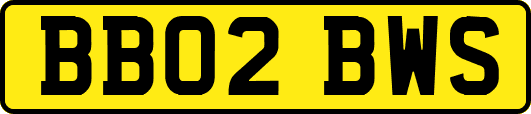BB02BWS