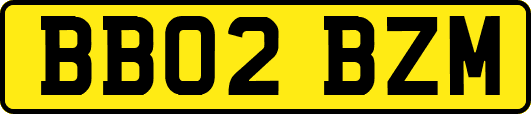 BB02BZM