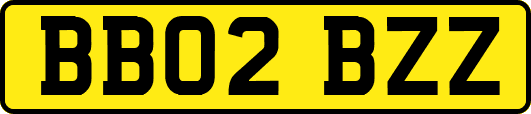 BB02BZZ