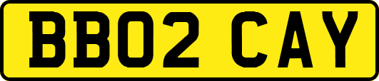 BB02CAY