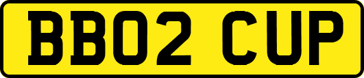 BB02CUP