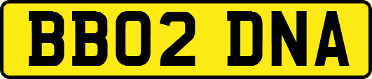 BB02DNA
