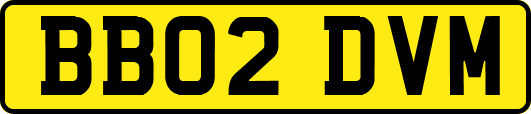 BB02DVM