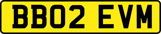 BB02EVM