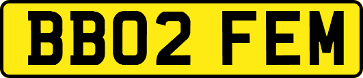 BB02FEM
