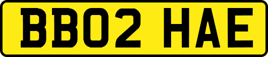 BB02HAE