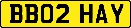 BB02HAY