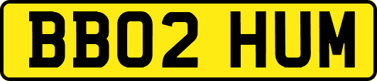 BB02HUM