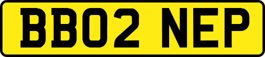 BB02NEP