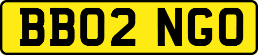 BB02NGO