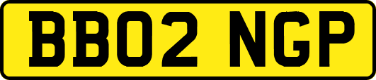 BB02NGP