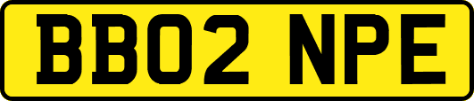 BB02NPE