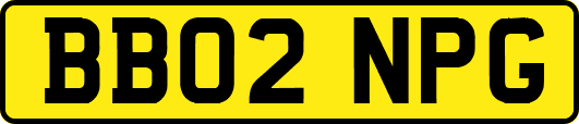 BB02NPG
