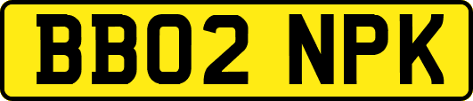 BB02NPK