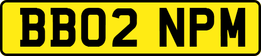 BB02NPM
