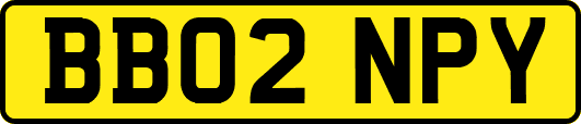 BB02NPY