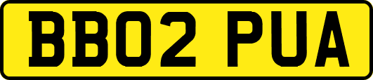 BB02PUA