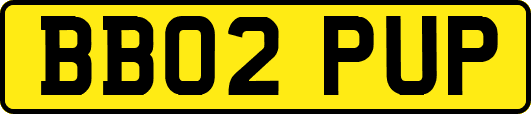 BB02PUP