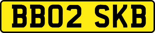 BB02SKB