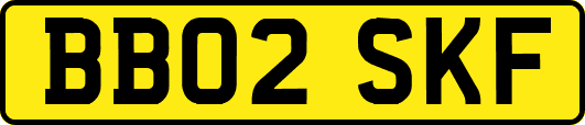 BB02SKF