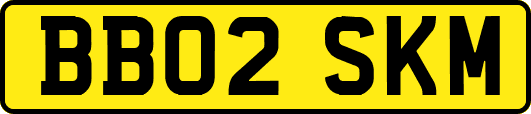BB02SKM