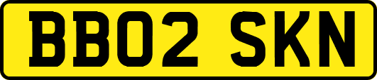 BB02SKN