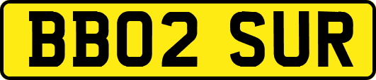 BB02SUR