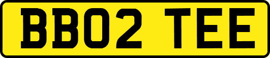 BB02TEE