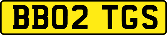 BB02TGS