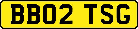 BB02TSG