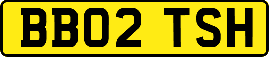 BB02TSH