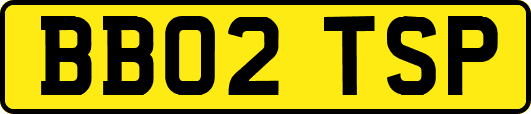 BB02TSP
