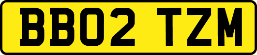 BB02TZM