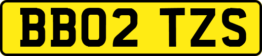 BB02TZS