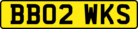 BB02WKS