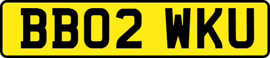 BB02WKU