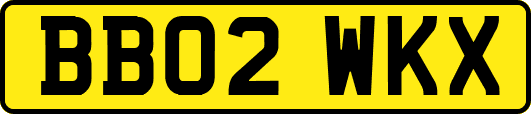 BB02WKX