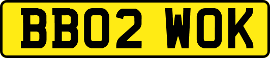 BB02WOK
